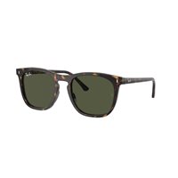 Sunglasses Ray-Ban 0RB2210902/3153 - 0RB2210902/3153
